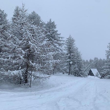 Chalet Bastilor Ла-Жу-дю-Луп Экстерьер фото