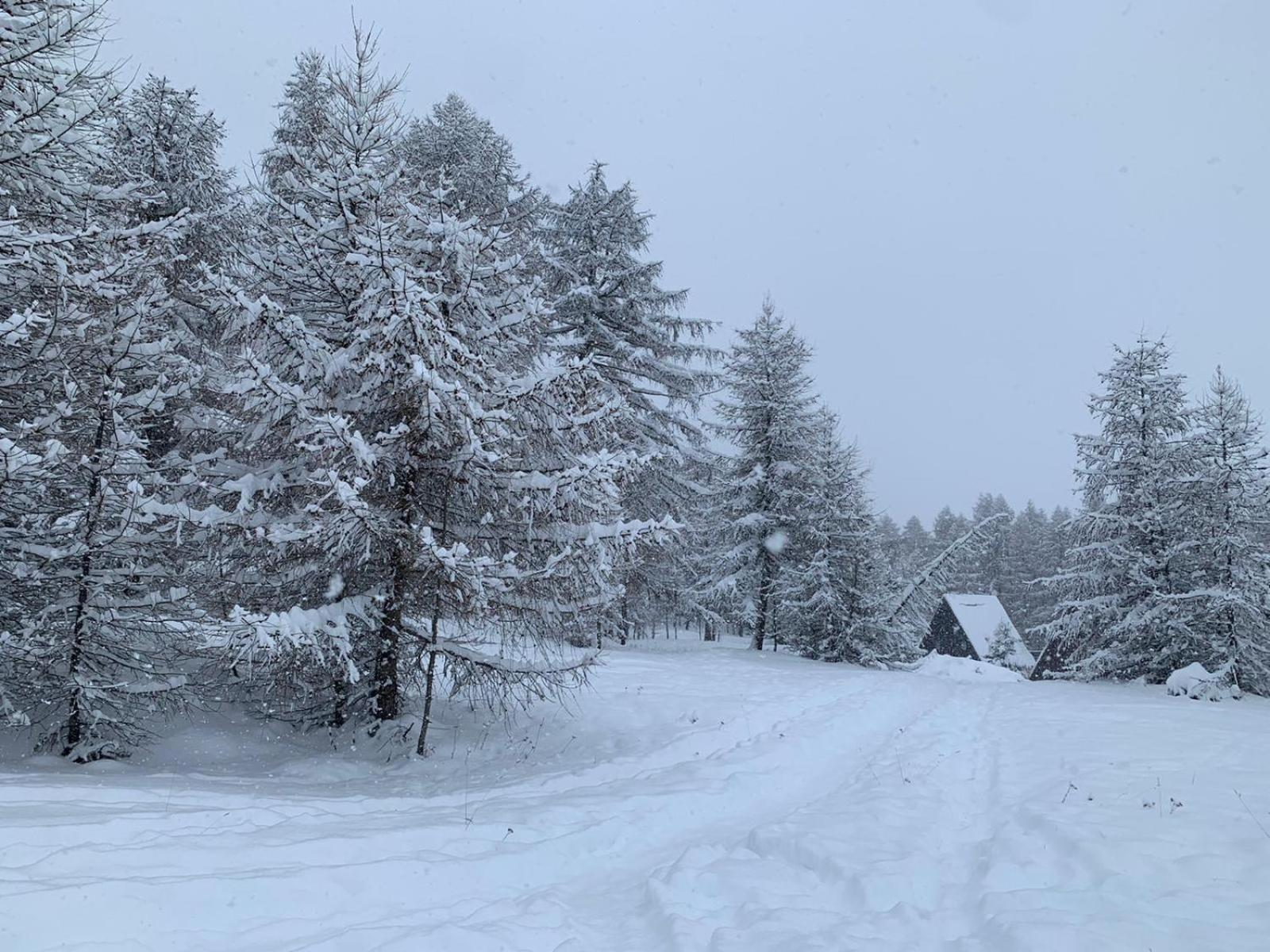 Chalet Bastilor Ла-Жу-дю-Луп Экстерьер фото